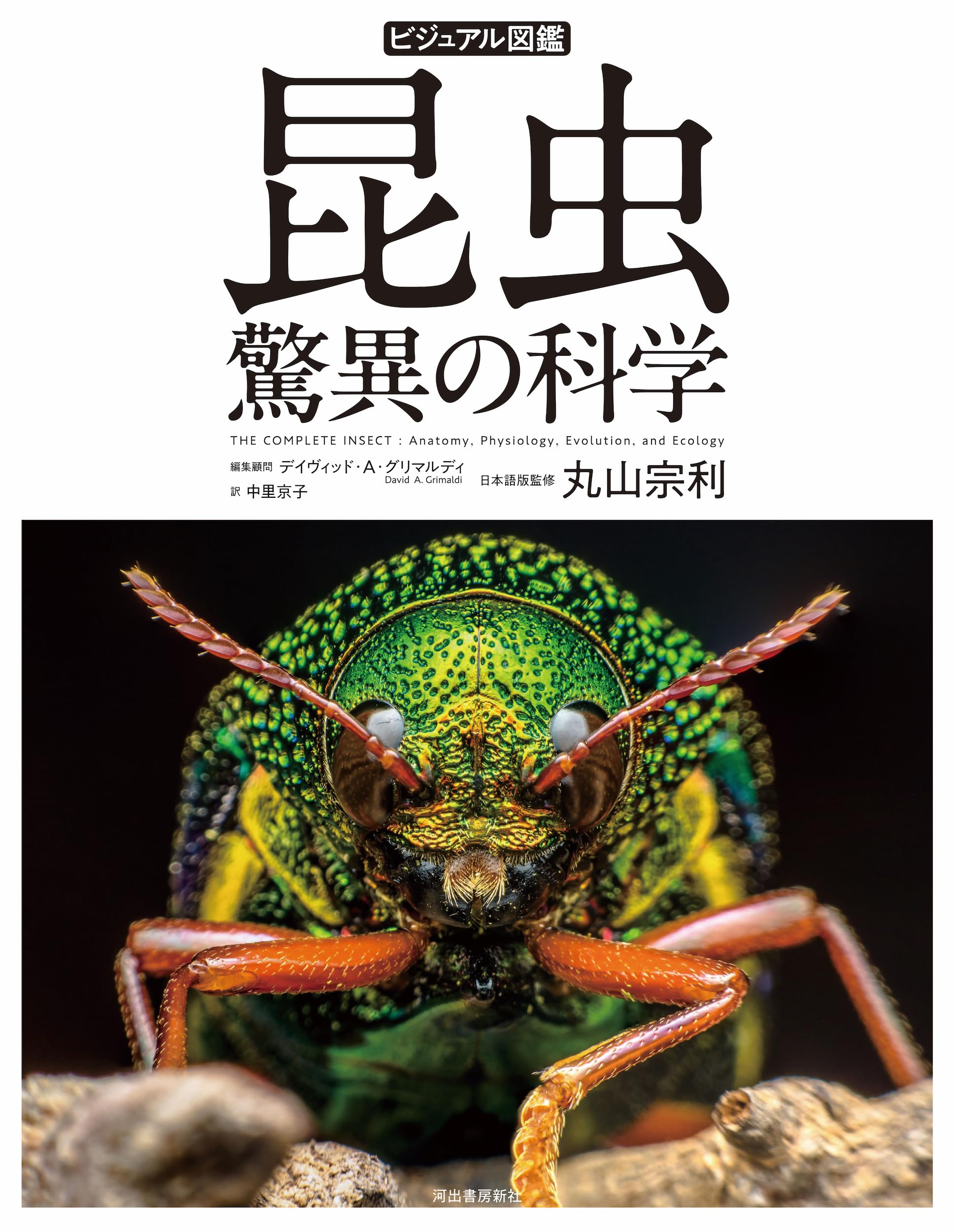 ビジュアル図鑑 昆虫 驚異の科学 | デイヴィッド・A・グリマルディ ビジュアル図鑑 昆虫 驚異の科学 | デイヴィッド・A・グリマルディ